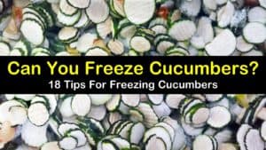 can you freeze cucumbers titleimg1