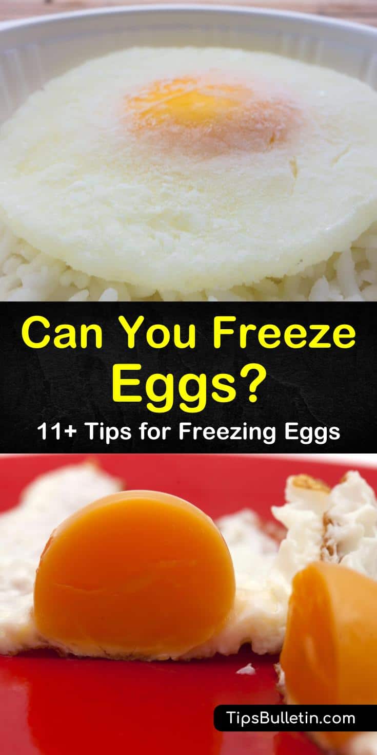 Learn how to prepare scrambled eggs for a pre-made frozen breakfast that you can pop into the microwave. While you should not freeze eggs in the shell, we’ll show you how to store raw eggs in ice cube trays in the freezer. #freezingeggs #freezeeggs #frozeneggstorage