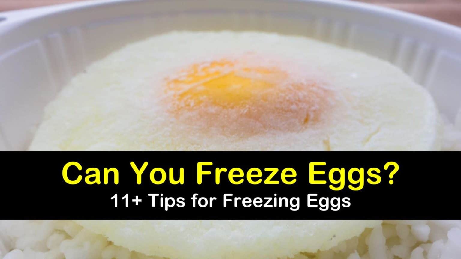 Yes You Can Freeze Eggs 11+ Tips for Freezing Eggs