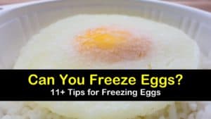 can you freeze eggs titleimg1