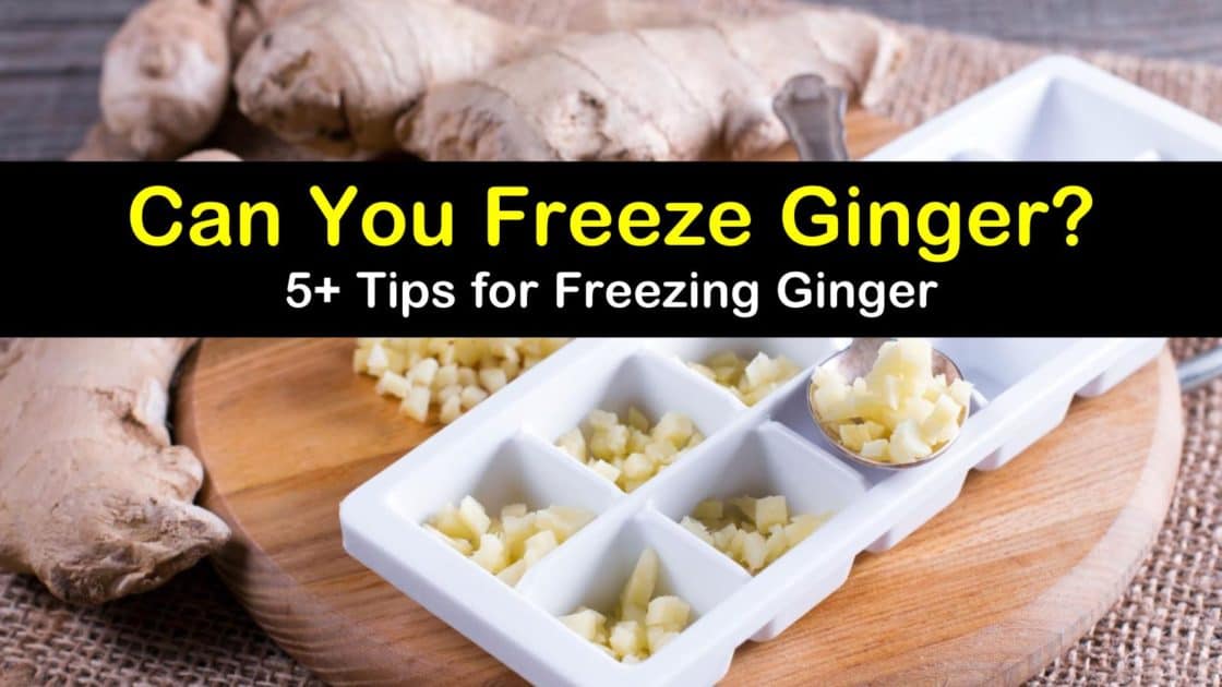 Can You Freeze Ginger? 5+ Tips for Freezing Ginger