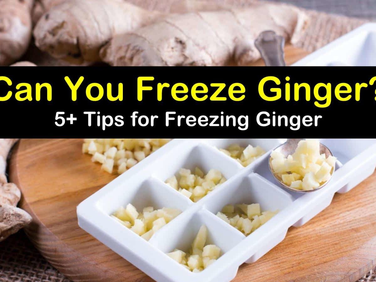 can you freeze ginger t1 1200x900 cropped