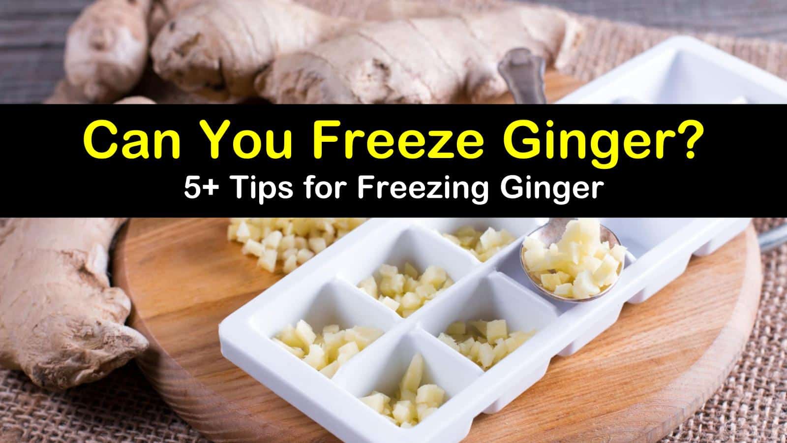 can you freeze ginger titleimg1