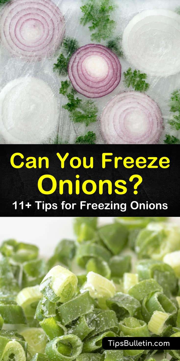 Learning how to freeze onions and peppers will save you time during meal prep. Onions and peppers can be frozen whole or in slices, allowing you to freeze exact portion sizes for future recipes. #freezingonions #freezeonions #onionsinfreezer