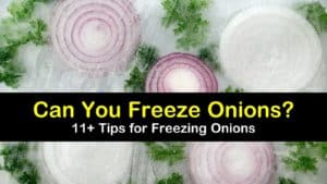 can you freeze onions titleimg1