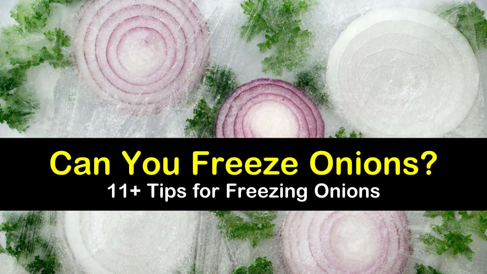 can you freeze onions titleimg1