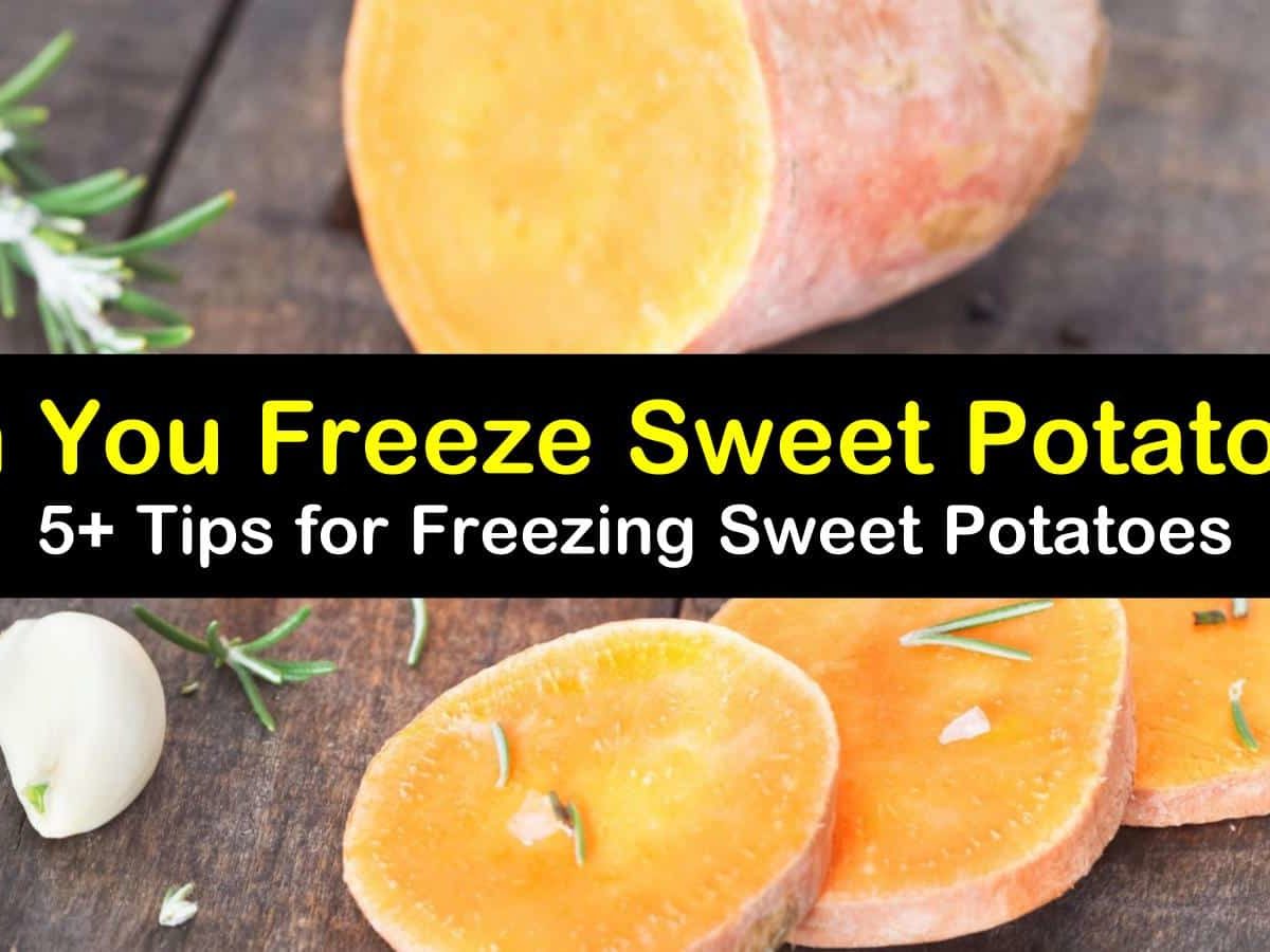 can you freeze sweet potatoes t1 1200x900 cropped
