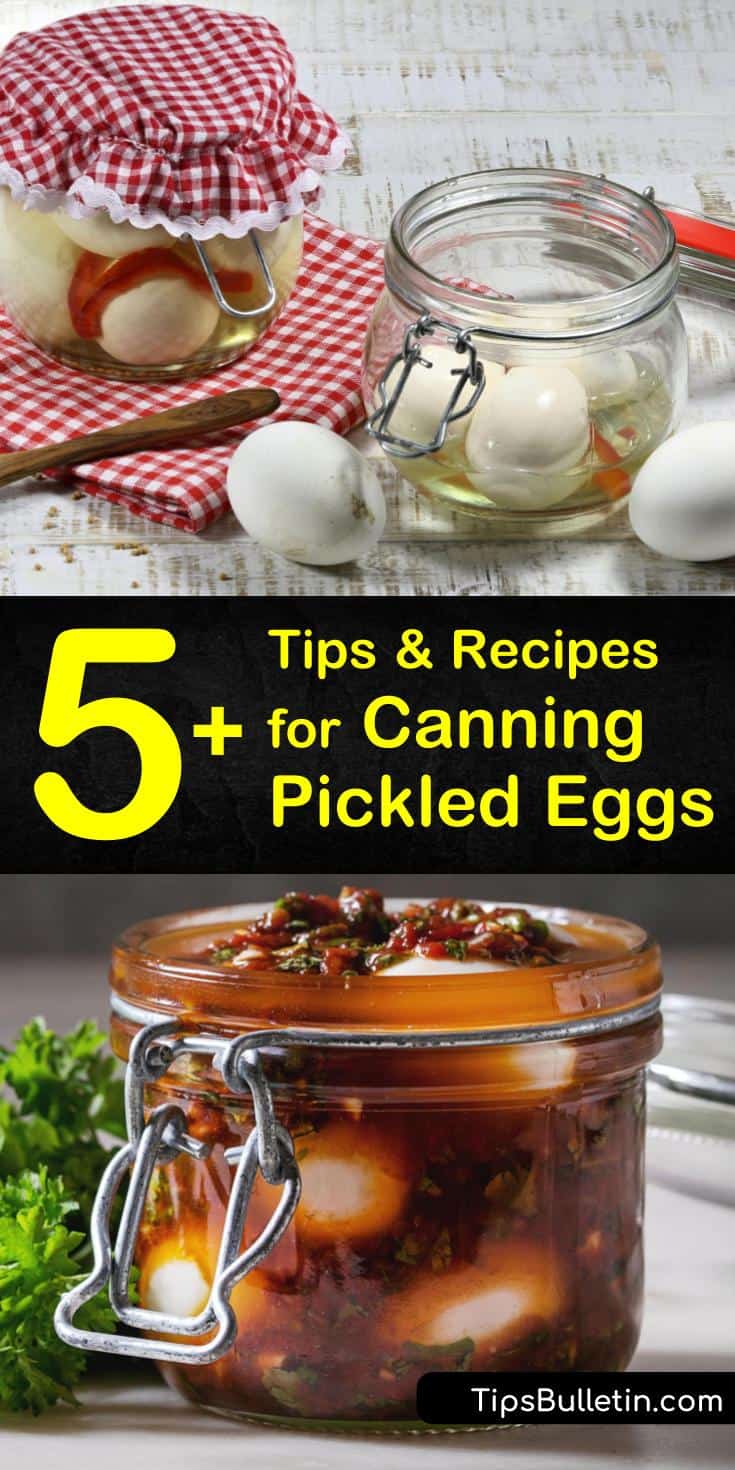 Discover the best recipes for canning pickled eggs and prepare them for long-term storage that lasts for months. Learn how to make sweet pickled eggs with a delicious pineapple recipe. Can eggs and beets for an explosion of flavors from sour to salty to sweet. #canning #pickled #eggs