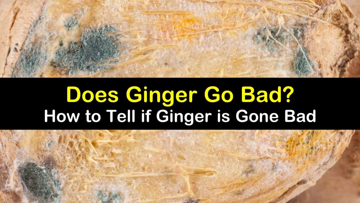 How to Tell if Ginger is Gone Bad