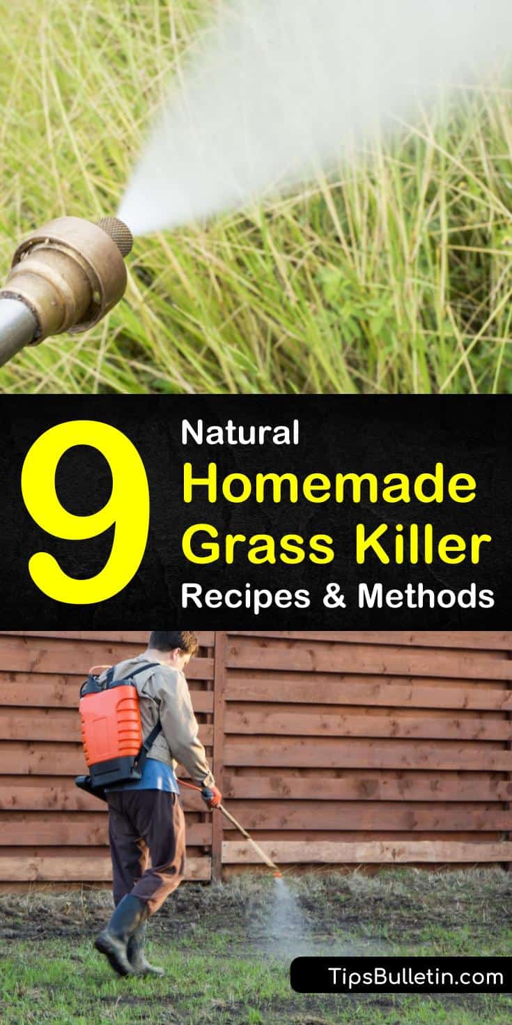 Learn how to make a DIY organic grass killer for clearing an area for flower beds. Make homemade weed and grass killer sprays to clear remove grass. Our recipes use natural ingredients to eliminate grass from any area of the yard. #naturalgrasskiller #homemadegrasskiller #killgrass