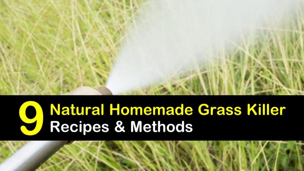 9 Natural Homemade Grass Killer Recipes & Methods
