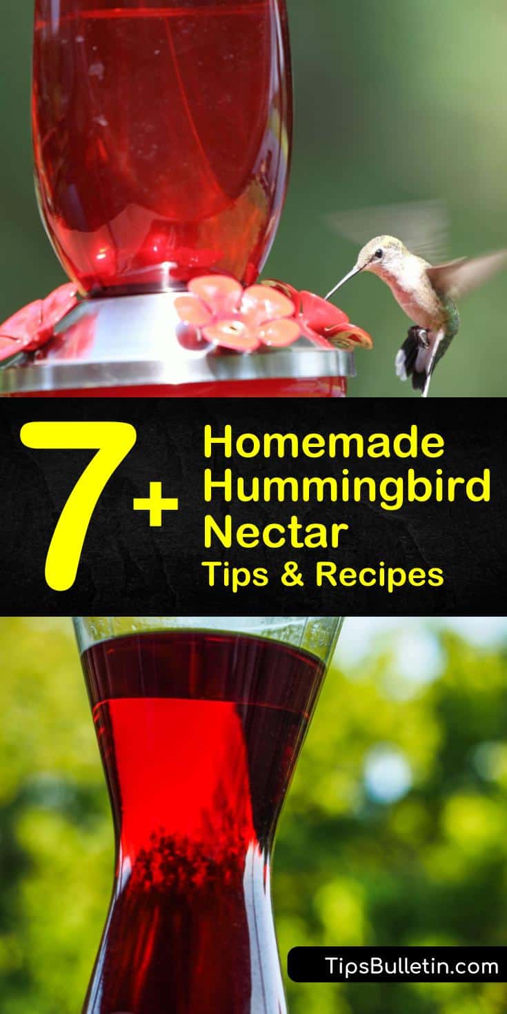 Discover how easy it is to make homemade hummingbird nectar with a few simple ingredients. Make a simple nectar recipe using sugar and water, and learn how to attract hummingbirds to your yard. #hummingbirdnectarrecipe #hummingbirds #hummingbirdfood