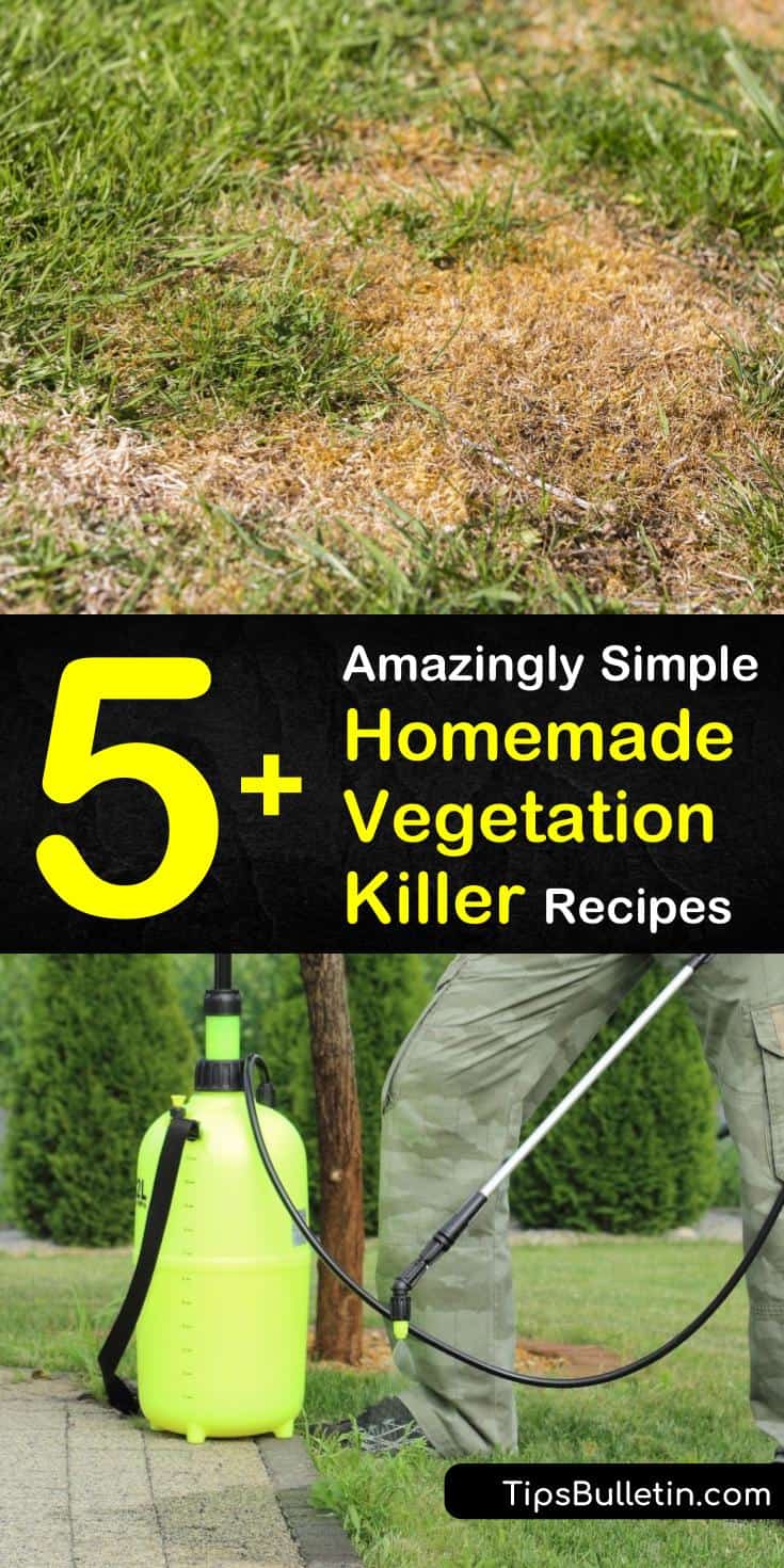 Discover which homemade vegetation killer works best for the weeds in your yard. Create your own DIY moss and weed killer that’s safe to use on grass. Learn which preventative measures will keep your lawn healthy long after the unwanted plants are gone. #homemade #vegetation #killer #weeds