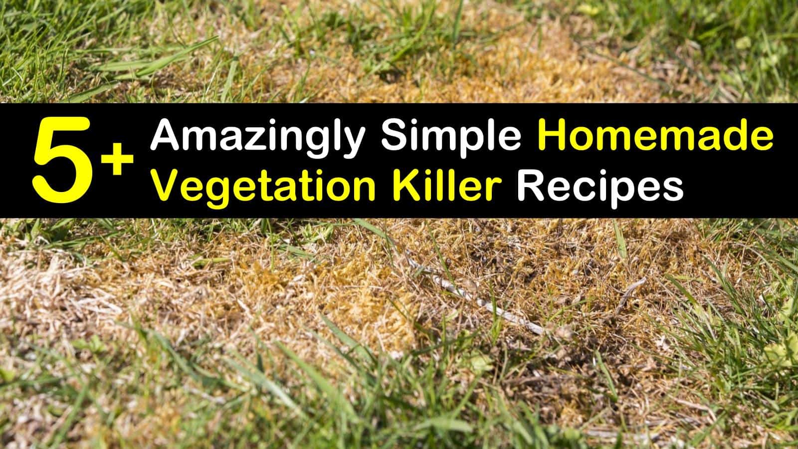 homemade vegetation killer titleimg1