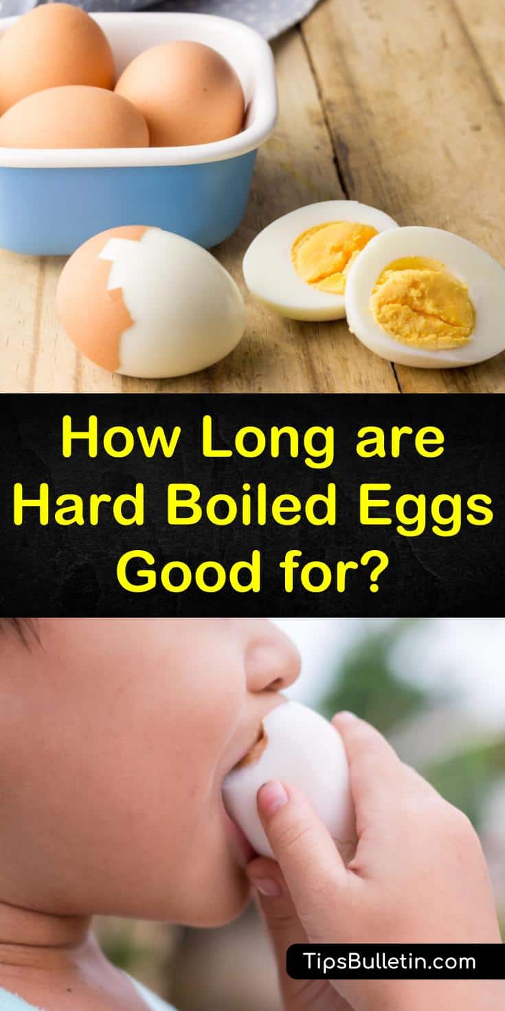 Get the answer to the question “How long are hard boiled eggs good for?” with our guide. We give you all the info you need about hard boiled eggs and help you extend their shelf life with just a little effort. #eggs #hardboiledeggs #cookedeggs