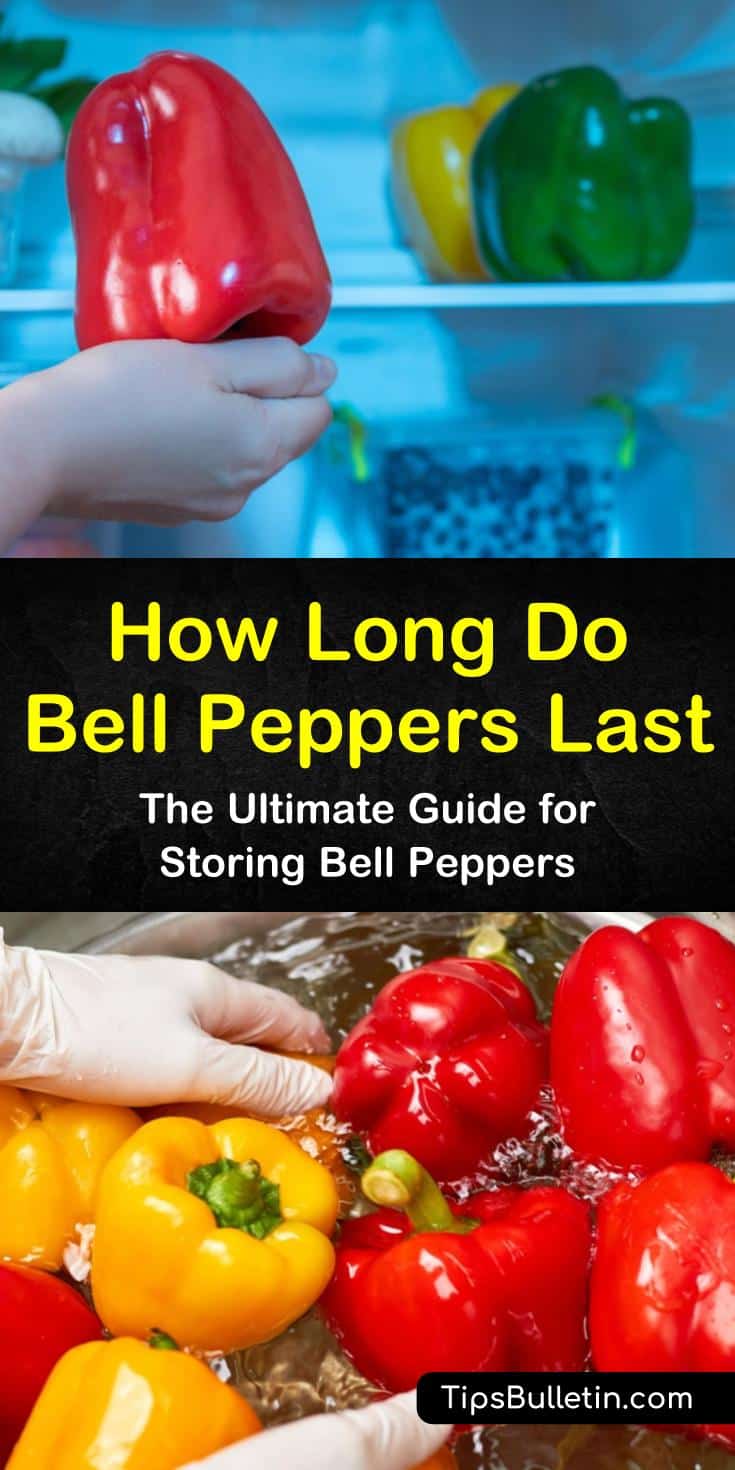 Discover the shell life of bell peppers, whether they are refrigerated or frozen. We’ll show you how to store red, yellow, and green bell peppers to maintain their flavor, and how to use up old peppers so they don’t go to waste. #bellpepperstorage #bellpeppershelflife #storingbellpeppers