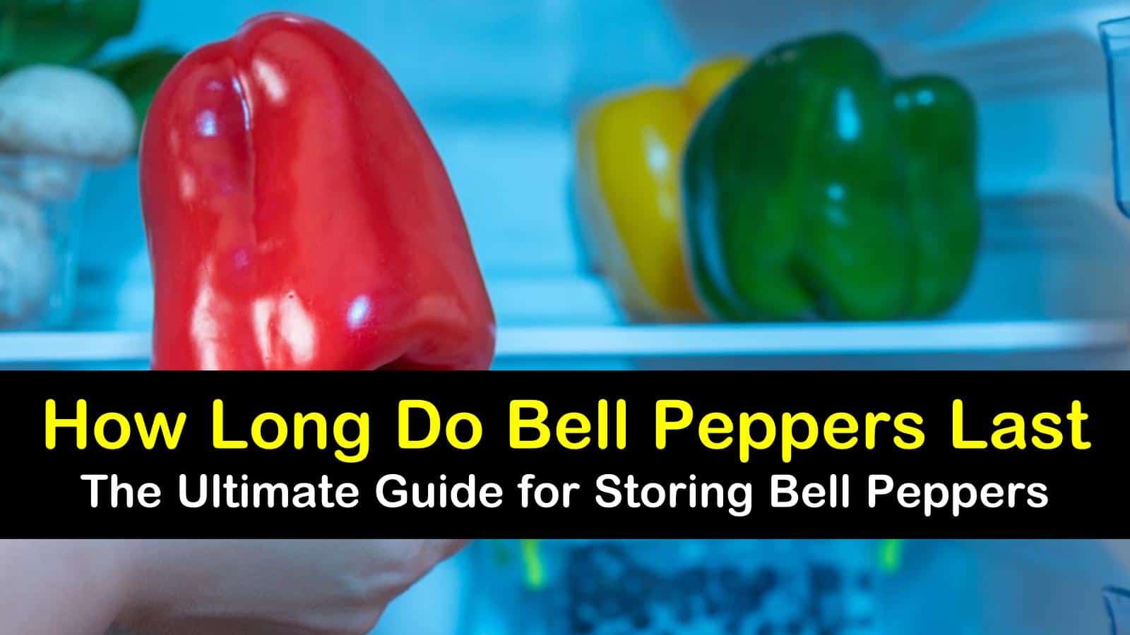 how long do bell peppers last titleimg1