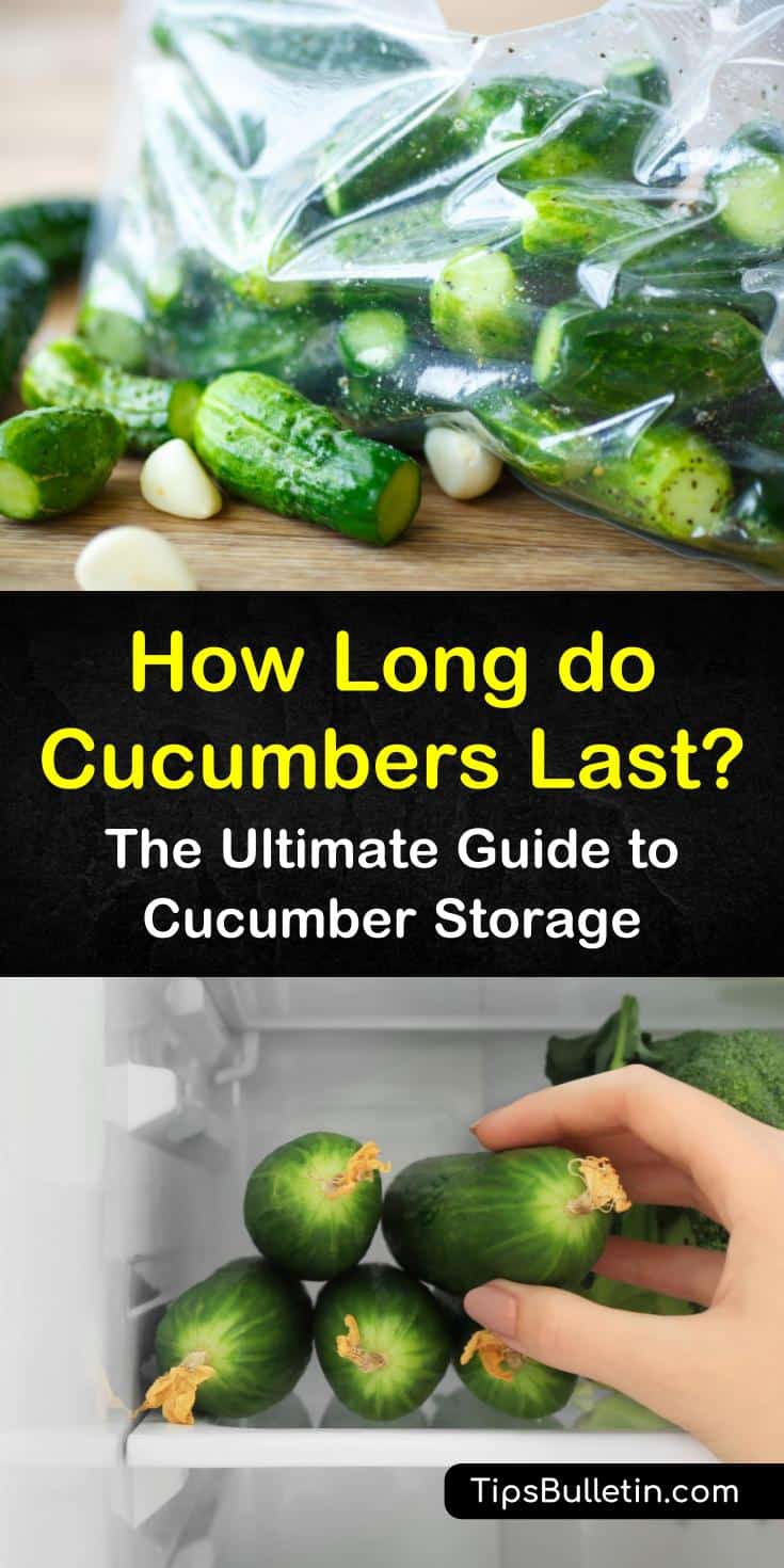 Fresh cucumbers are one of the most versatile veggies you can find. You can slice them, add to salads or turn them into pickles. The secret to enjoying them though is learning how to properly store cucumbers so they stay nice and crisp. #storecucumbers #keepcucumbersfresh #cucumbers