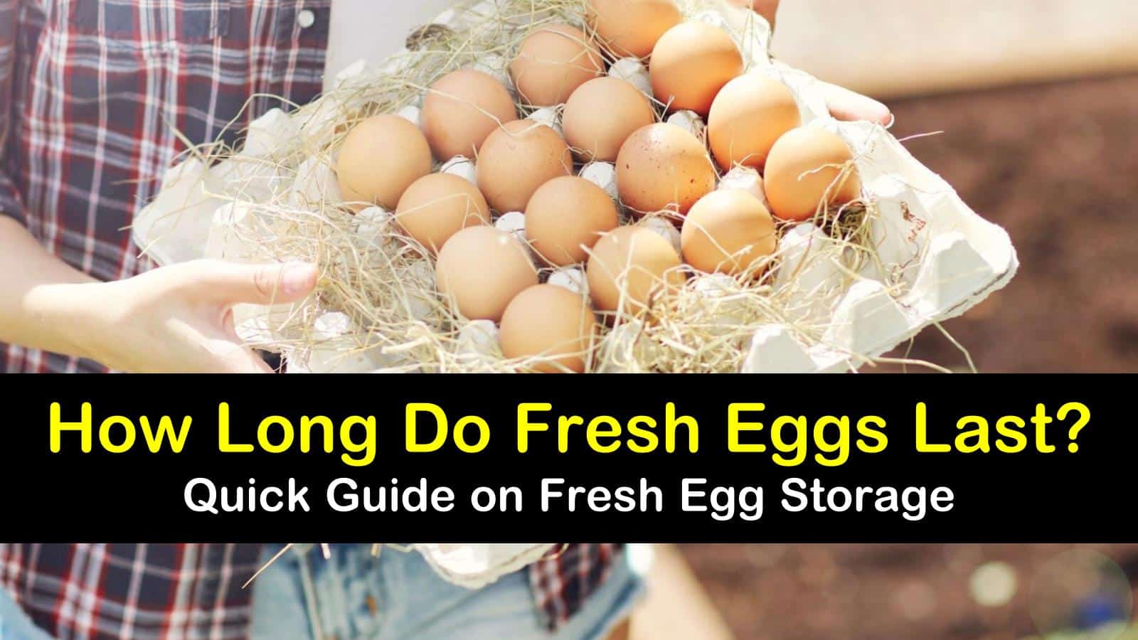 how long do fresh eggs last titleimg1