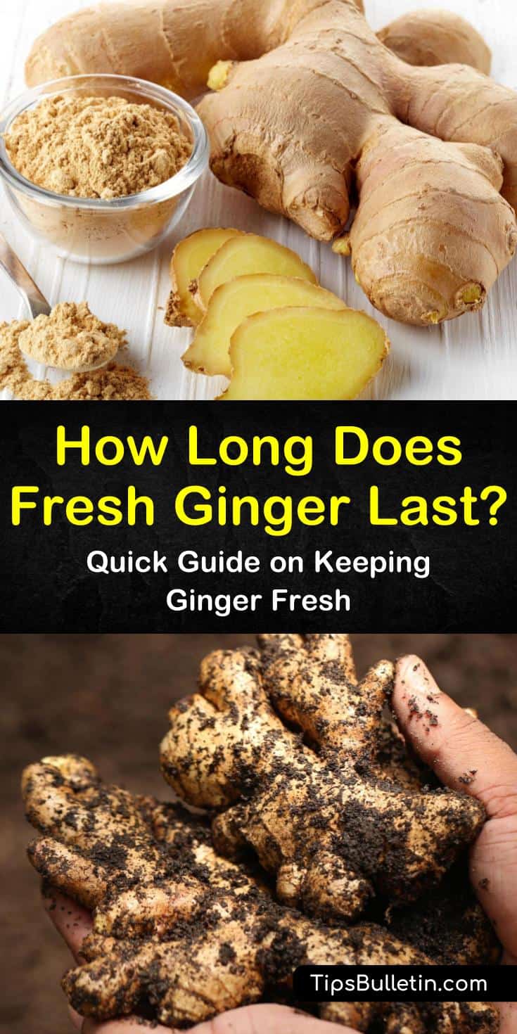 Fresh ginger root does not last long stored in plastic wrap and it could cause it to get moldy. Extend its shelf life by storing it in the pantry, refrigerator, or freezer using one of our time-tested methods. #ginger #keepgingerfresh #freshginger