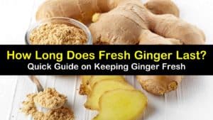 how long does fresh ginger last titleimg1