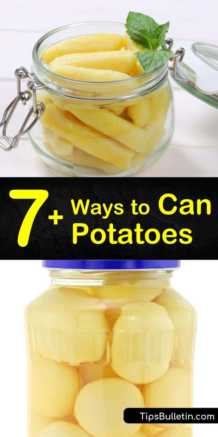 If you want to know how to can potatoes, then these fantastic recipes will get you started. You can’t can potatoes without a pressure cooker, so follow these steps to see how it’s done. Find out how to can sweet potatoes in a delicious, sugary syrup, too! #howtocanpotatoes #canningpotatoes