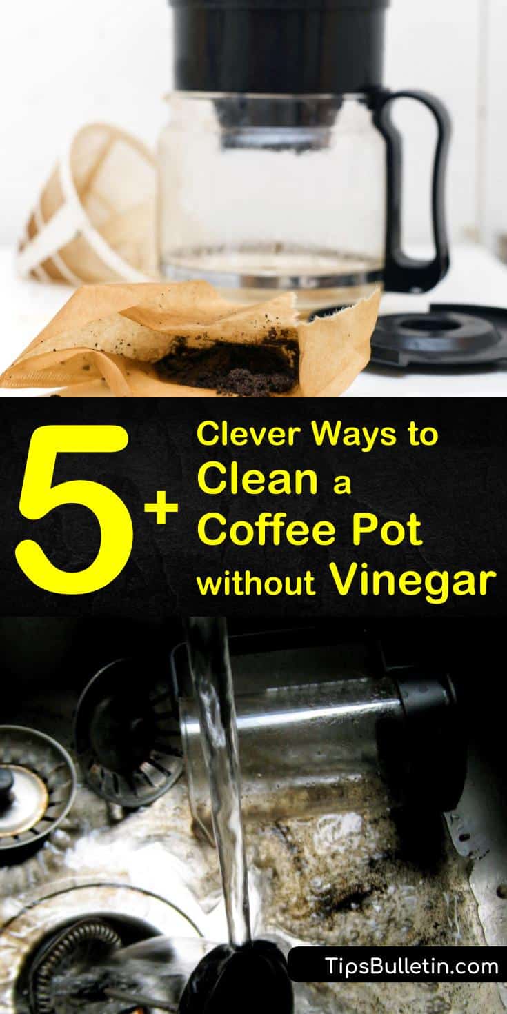 14+ Clever Ways to Clean a Coffee Pot without Vinegar 14+ Clever Ways to Clean a Coffee Pot without Vinegar