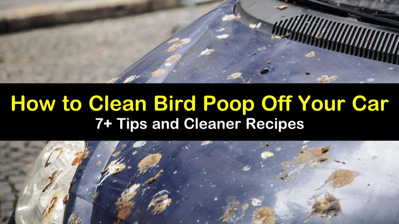 how to clean bird poop off a car titleimg1