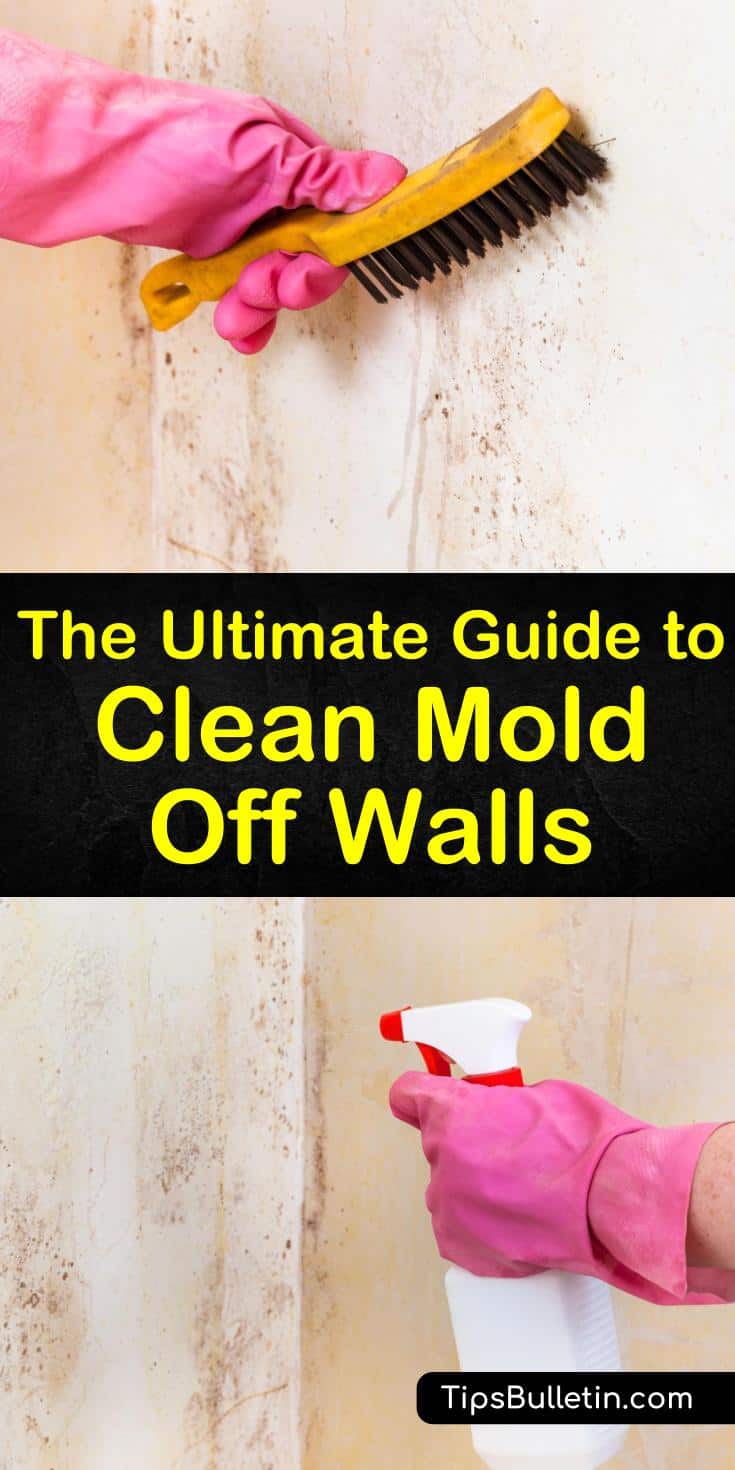 Learn how to get rid of mold growing on ceilings and walls by using bleach and other household ingredients. We’ll show you how to remove mold growth from bathroom walls using vinegar and baking soda. #cleanmoldywalls #mold #wall #moldonwalls
