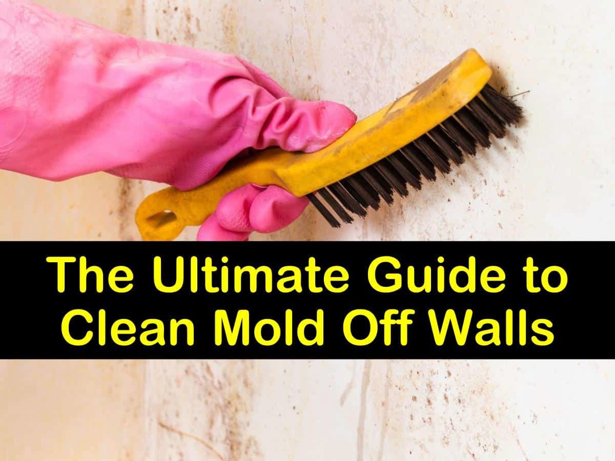 The Ultimate Guide to Clean Mold Off Walls