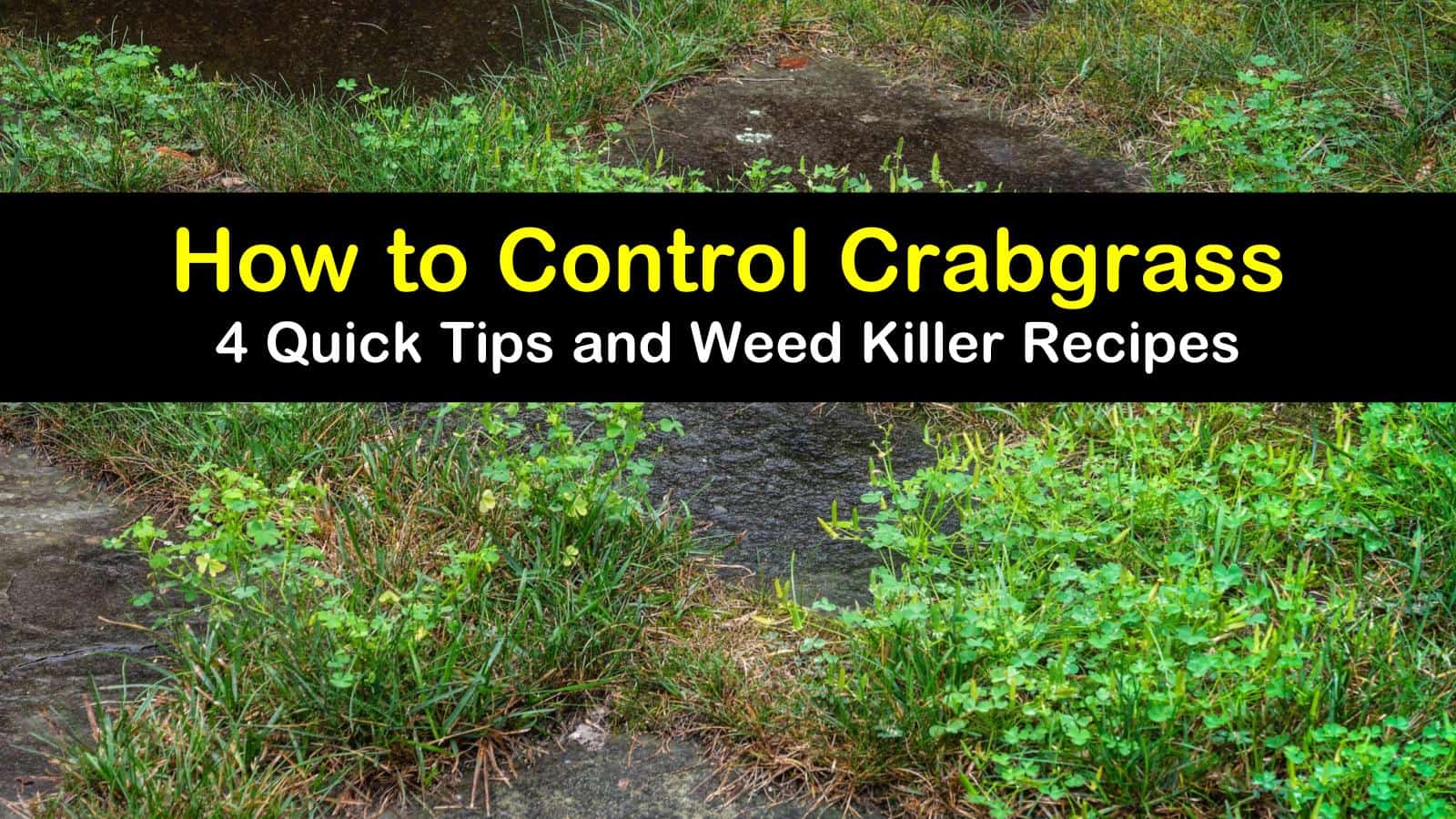 how to control crabgrass titleimg1