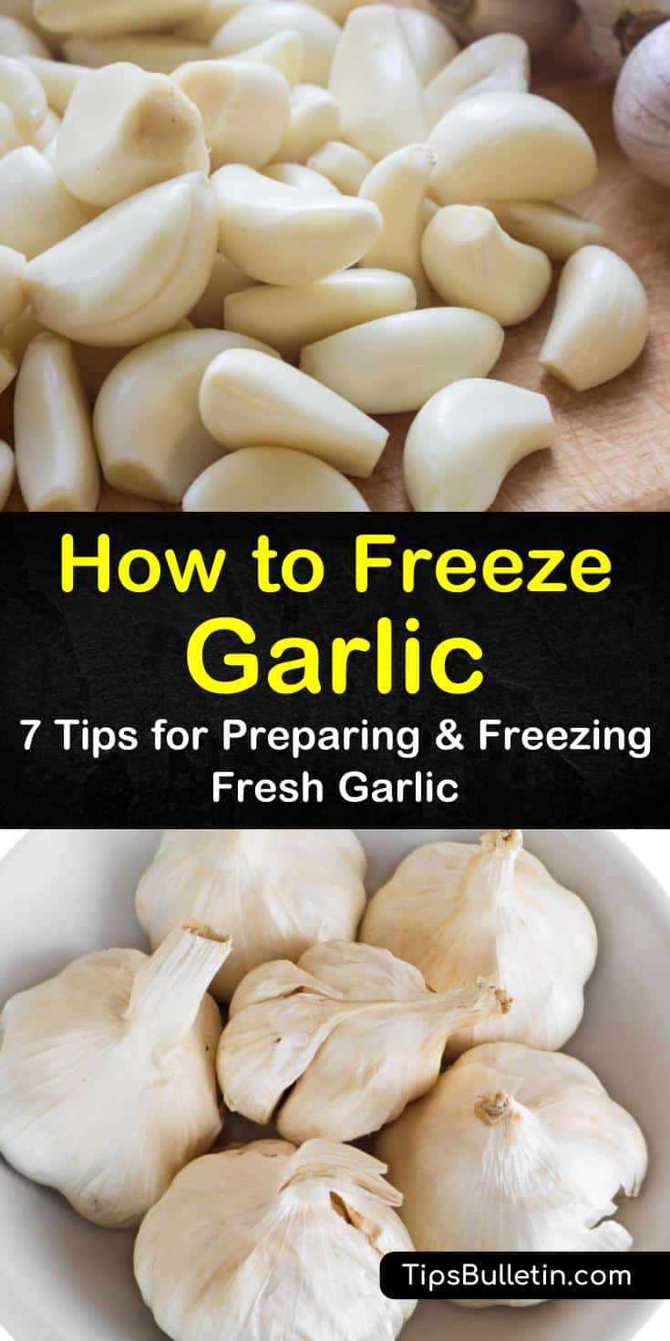 Learn how to use olive oils and garlic cloves to make a garlic puree that is perfect for freezing. Garlic in oil can be used as a base for sauces or spread on toasted bread. We’ll show you how to freeze whole garlic cloves as well as chopped garlic. #freezinggarlic #freezegarlic #garlic