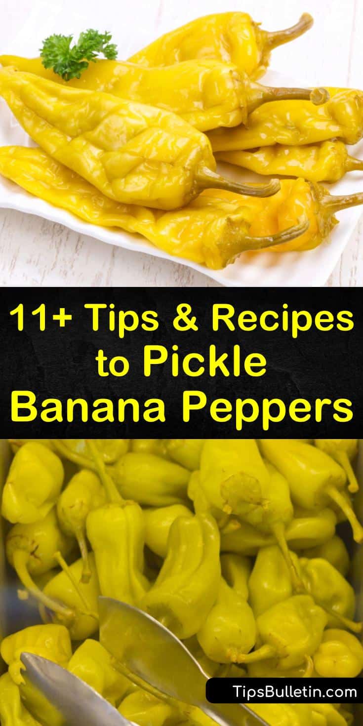 Try any of these canning recipes to learn how to pickle banana peppers. Learn how to make refrigerator pickled banana peppers with these easy tips. Use a spicy pepper recipe or a sweet and savory blend to tickle the taste buds. #howto #pickle #bananapeppers
