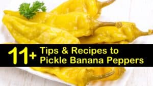 how to pickle banana peppers titleimg1