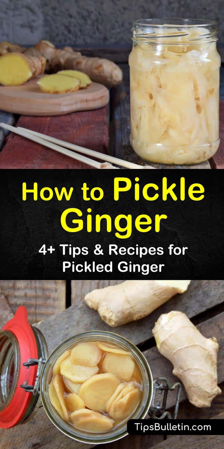 Discover how to pickle ginger using apple cider vinegar. Our guide shows you how to make gari for sushi and lets you in on the health benefits and many uses of pickled ginger in your dishes and recipes. #ginger #pickling #pickleginger