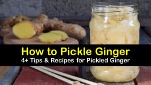 how to pickle ginger titleimg1