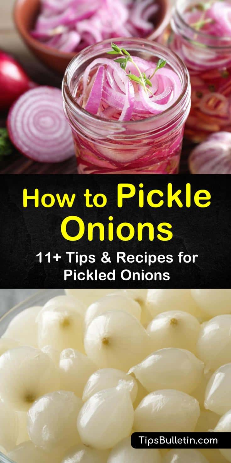 Learn how to pickle onions the fast and easy way. Our guide shows you how to make pickled red and white onions with our recipes that include vinegar. Your Portuguese and Mexican food meals will thank you. #onions #pickledonions #pickling