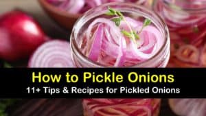 how to pickle onions titleimg1