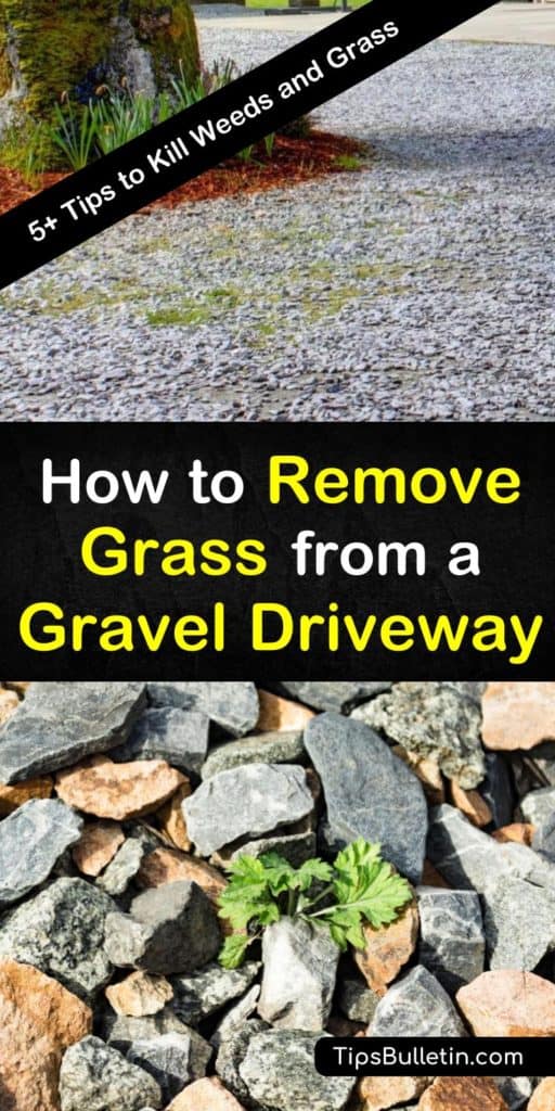5+ Effective Ways to Remove Grass from a Gravel Driveway
