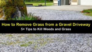 how to remove grass from a gravel driveway titleimg1