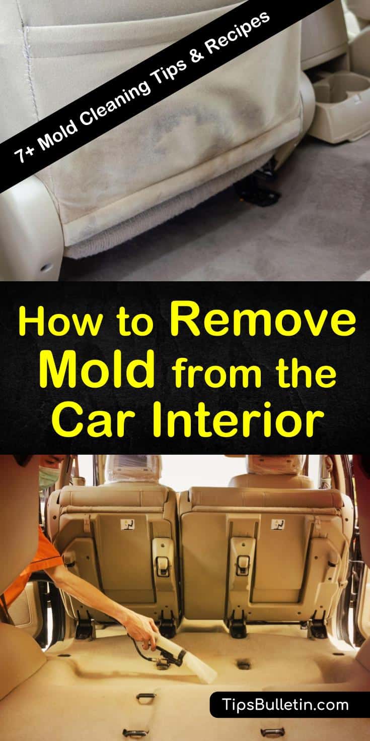 Follow these easy tips for how to remove mold from the car interior on your own. Use cleaning products like baking soda, Borax, and ammonia to eliminate mold patches from carpet. Learn preventative methods you can take and identify warning signs for mold growth. #remove #mold #car #interior