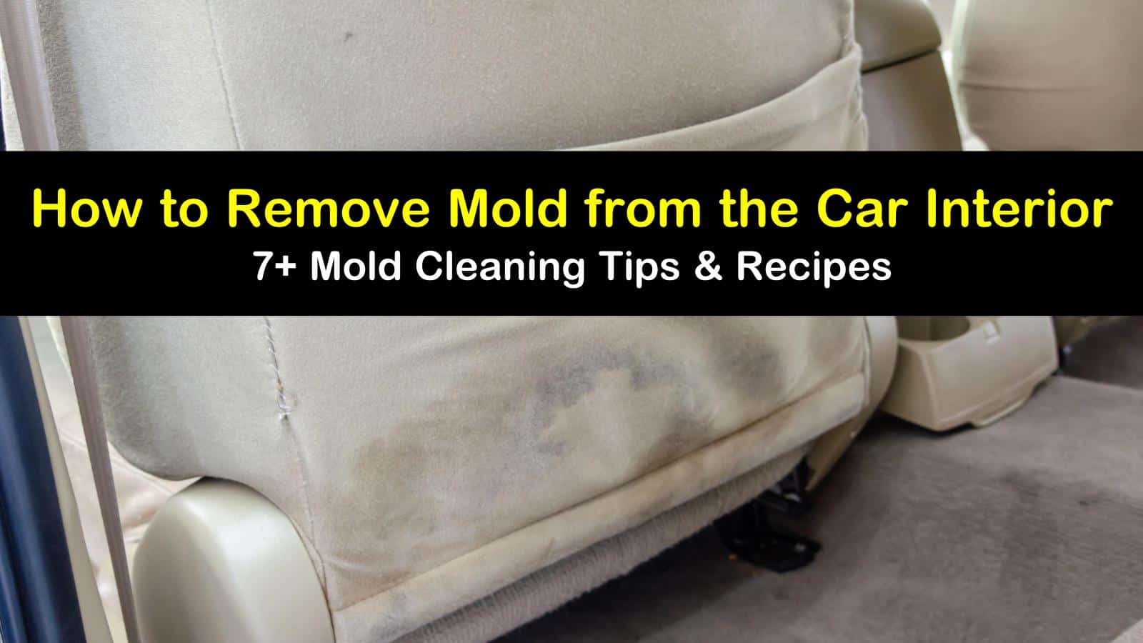 7 Ways To Remove Mold From The Car Interior