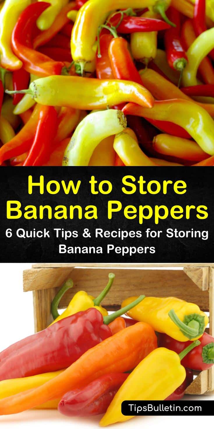 You can store banana peppers after growing them by canning pickled peppers and freezing them. We’ll show you what to do with those peppers to ensure they provide you with a fresh flavor and nutritional health benefits. #storingbananapeppers #preservebananapeppers #howtostorepeppers