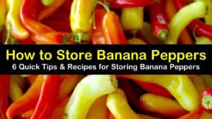 how to store banana peppers titleimg1