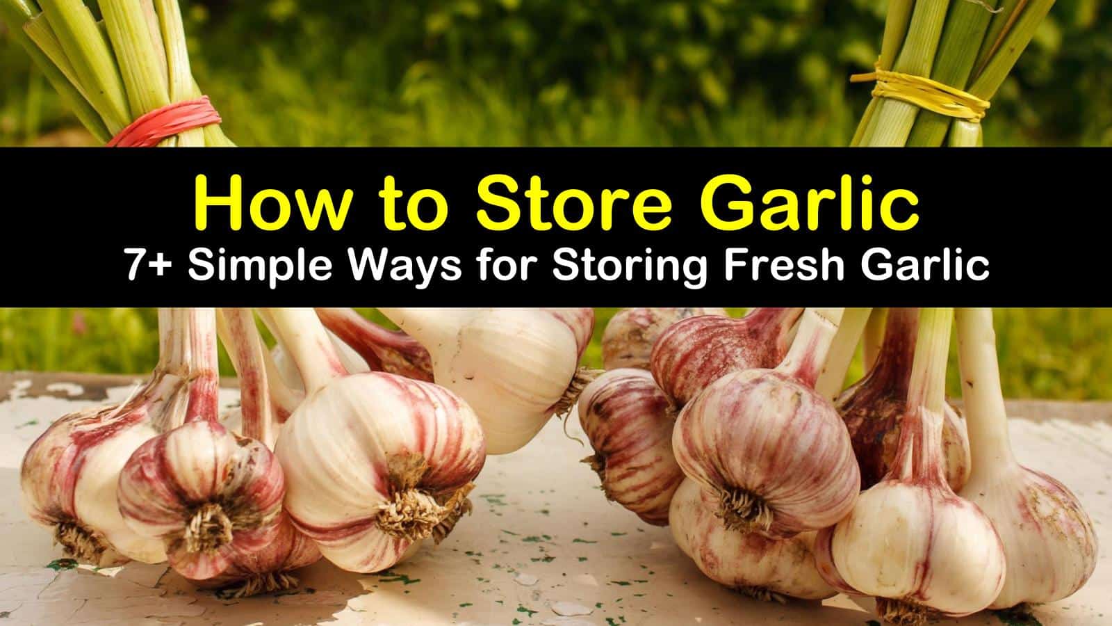 how to store garlic titleimg1