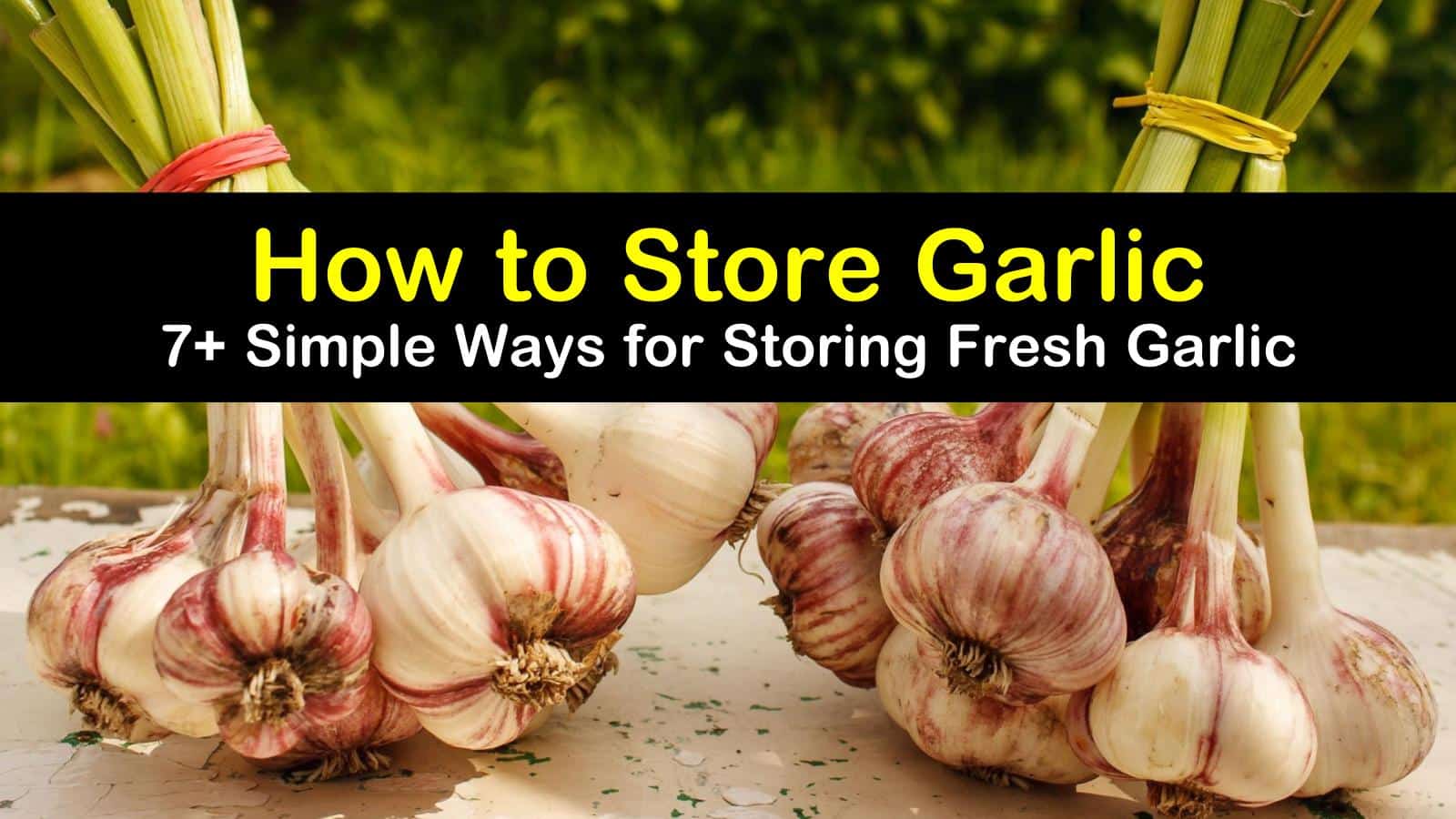 How To Keep Fresh Garlic Fresh