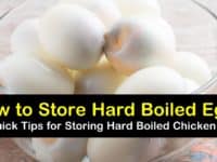 how to store hard boiled eggs titleimg1