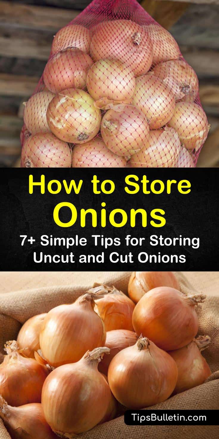 Storing onions and potatoes on counter together will shorten their shelf life. Learn how to store onions from garden long term and cut onions in fridge. You can also store cooked onions in the freezer for future meals. #storingonions #storeonions #preserveonions