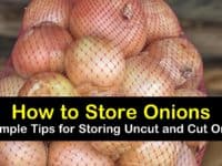 how to store onions titleimg1