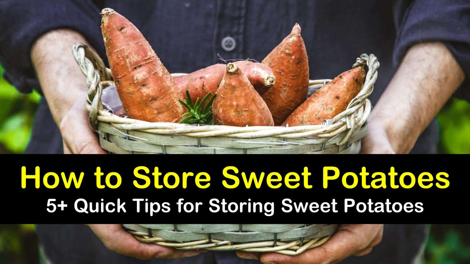 how to store sweet potatoes titleimg1